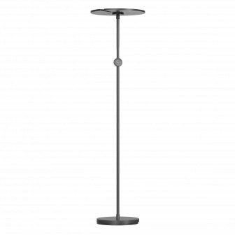 LED Floor Lamp, 40W+8W, Black, Remote Control, RGB CCT — image 1