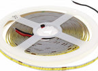LED Strip 10W/m, 1000Lm/m, 24V, Neutral Light — image 2