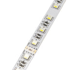 LED Strip 16W/m, 1600Lm/m, 24V, 3 Years Warranty, RGBWW — image 2