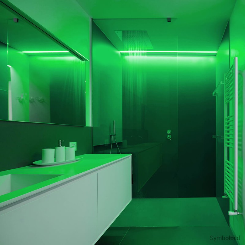 LED Strip 4.8W/m, 300Lm/m, 12V, Pro, IP54, Green — image 4
