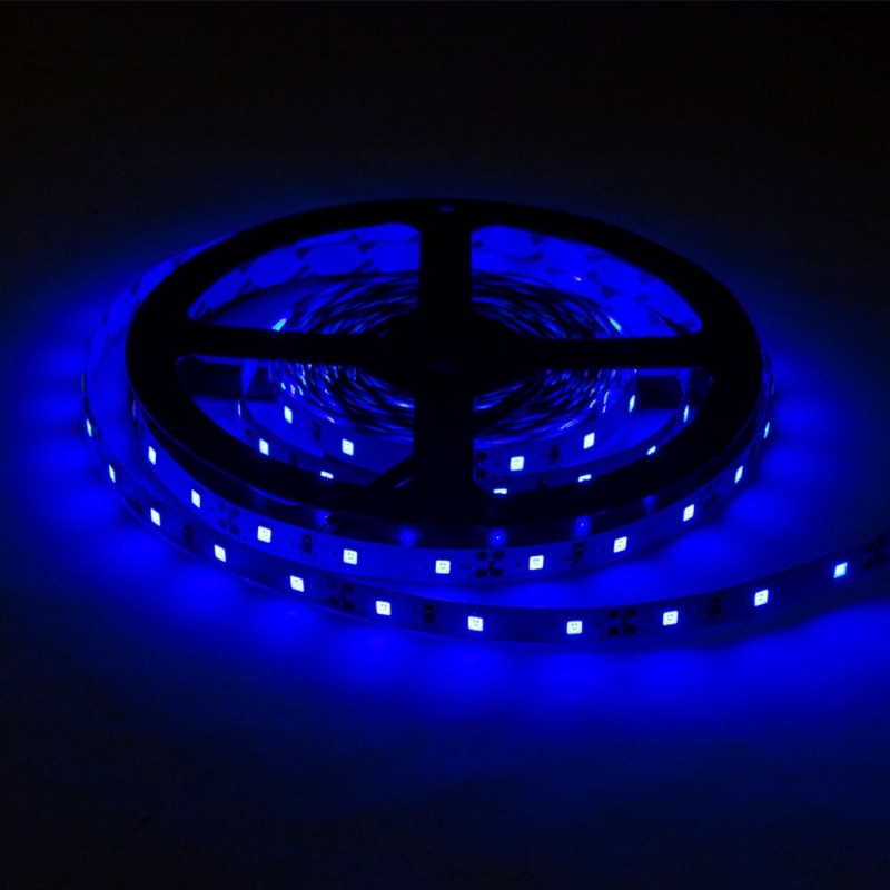 LED Strip 4.8W/m, 300Lm/m, 12V, Pro, Blue — image 3