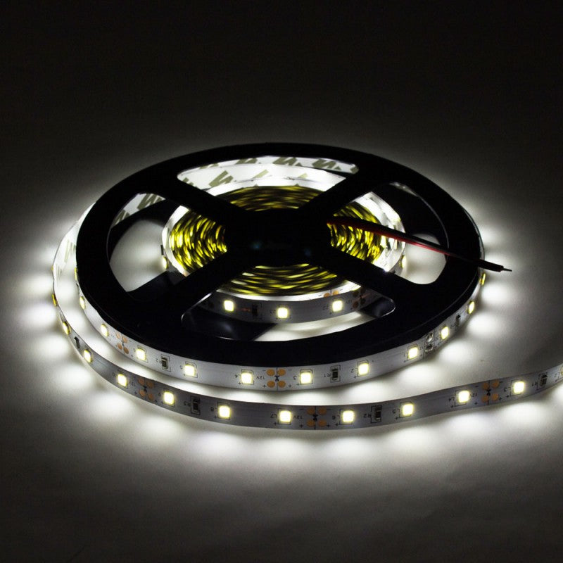 LED Strip 4.8W/m, 300Lm/m, 12V, Pro, White Light — image 3