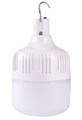 LED Solar Bulb with Solar Panel, 8W, White Light — image 1