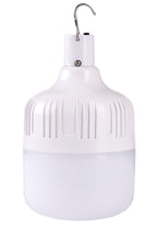 LED Solar Bulb with Solar Panel, 8W, White Light — image 1
