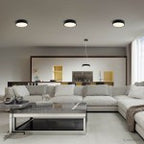 LED Ceiling Light, Black Body, Round, 18W, Neutral Light — image 4