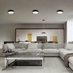LED Ceiling Light, Black Body, Round, 18W, Neutral Light — image 4
