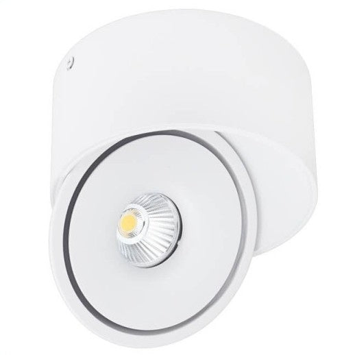 LED Downlight, 20W, Round, Rotatable, White, CCT — image 2