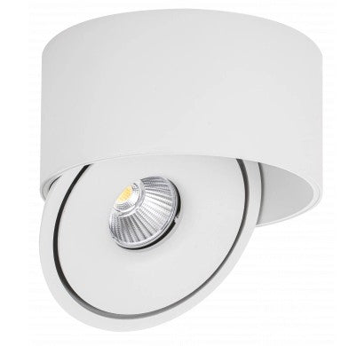 LED Downlight, 20W, Round, Rotatable, White, CCT — image 1