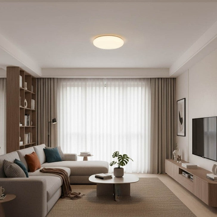 LED Ceiling Light, White Body, 24W, 3CCT — image 5