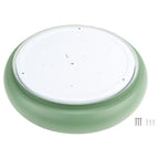 LED Ceiling Light, 24W, White/Reseda, CCT Light — image 2