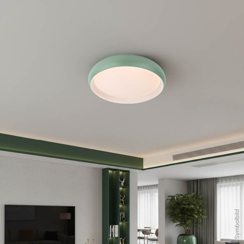 LED Ceiling Light, 24W, White/Reseda, CCT Light — image 4