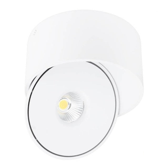 LED Downlight, 30W, Round, Rotatable, White, CCT — image 2