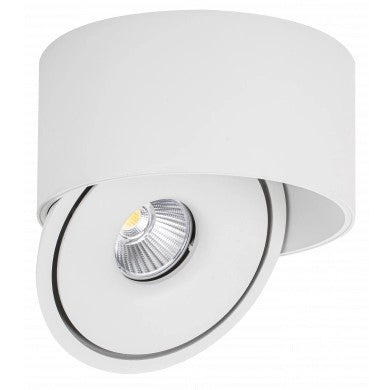 LED Downlight, 30W, Round, Rotatable, White, CCT — image 1