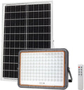 LED Floodlight, Grey, with Solar Panel, 40W, White Light — image 1