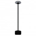 LED Solar Garden Lamp, Black, 2.5m Pole, Water Tank, Remote Control, CCT — image 1